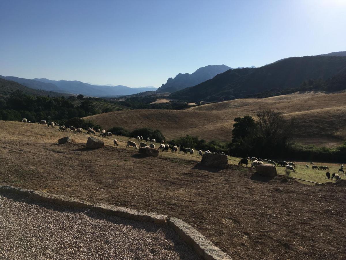 לינה וארוחת בוקר Sarragia Ferme De Roccapina מראה חיצוני תמונה