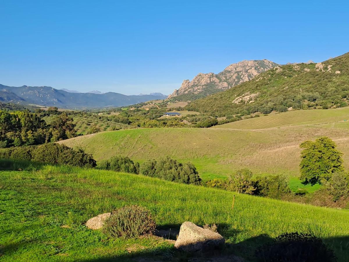 לינה וארוחת בוקר Sarragia Ferme De Roccapina מראה חיצוני תמונה
